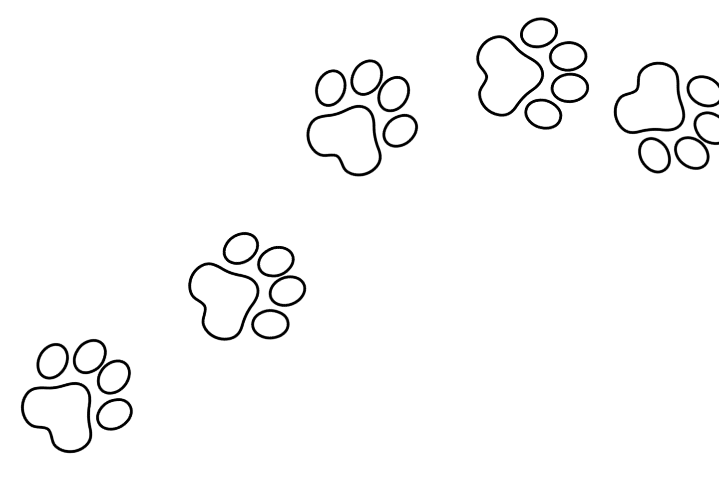 Jejak